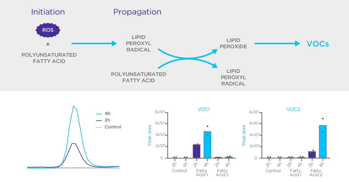 Lipid Peroxidation Case Study