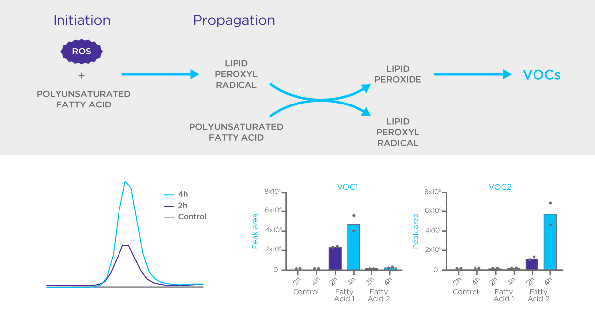 Lipid Peroxidation Case Study Lipid Peroxidation Case Study