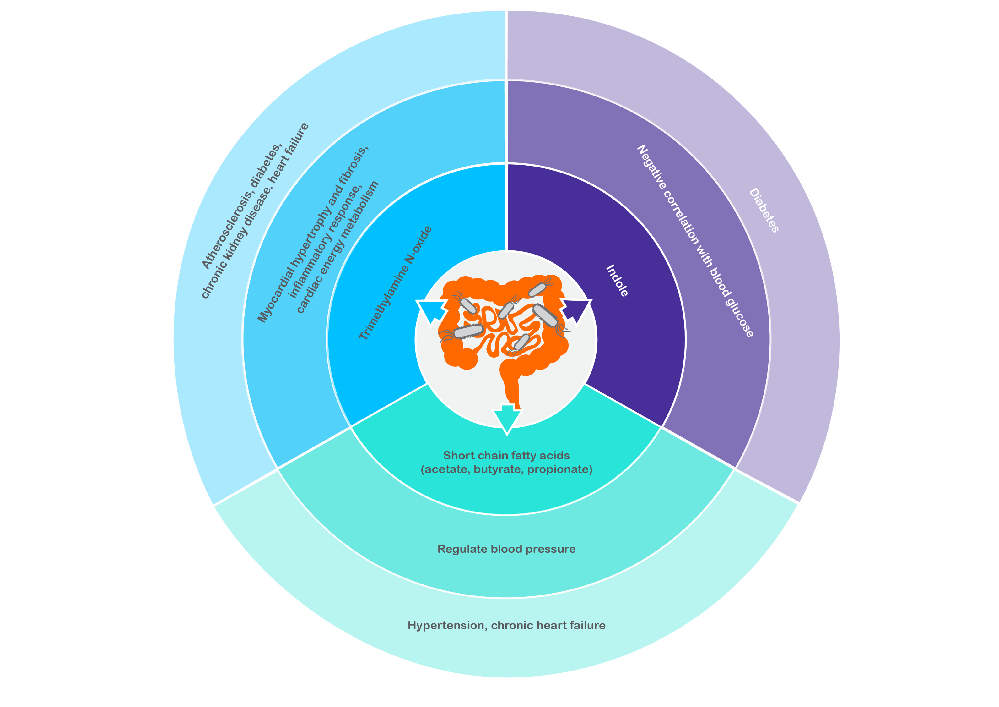 Microbial Molecules CVMD