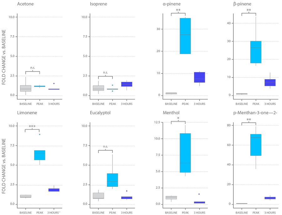 Peppermint Boxplots 900 Peppermint Boxplots 900