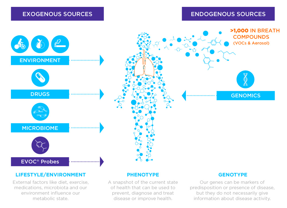 Sources of biomarkers in breath