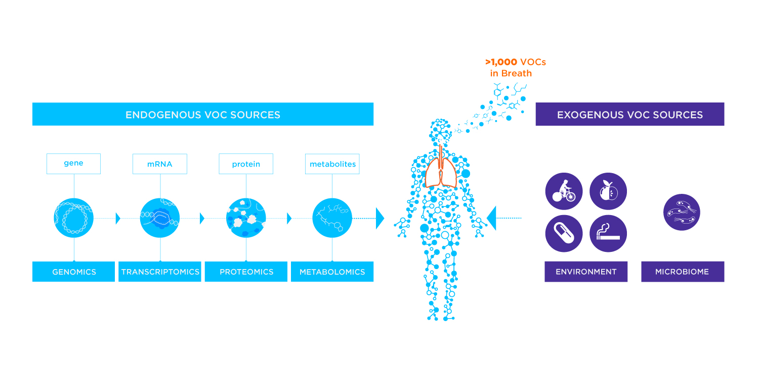 Sources of VOCs