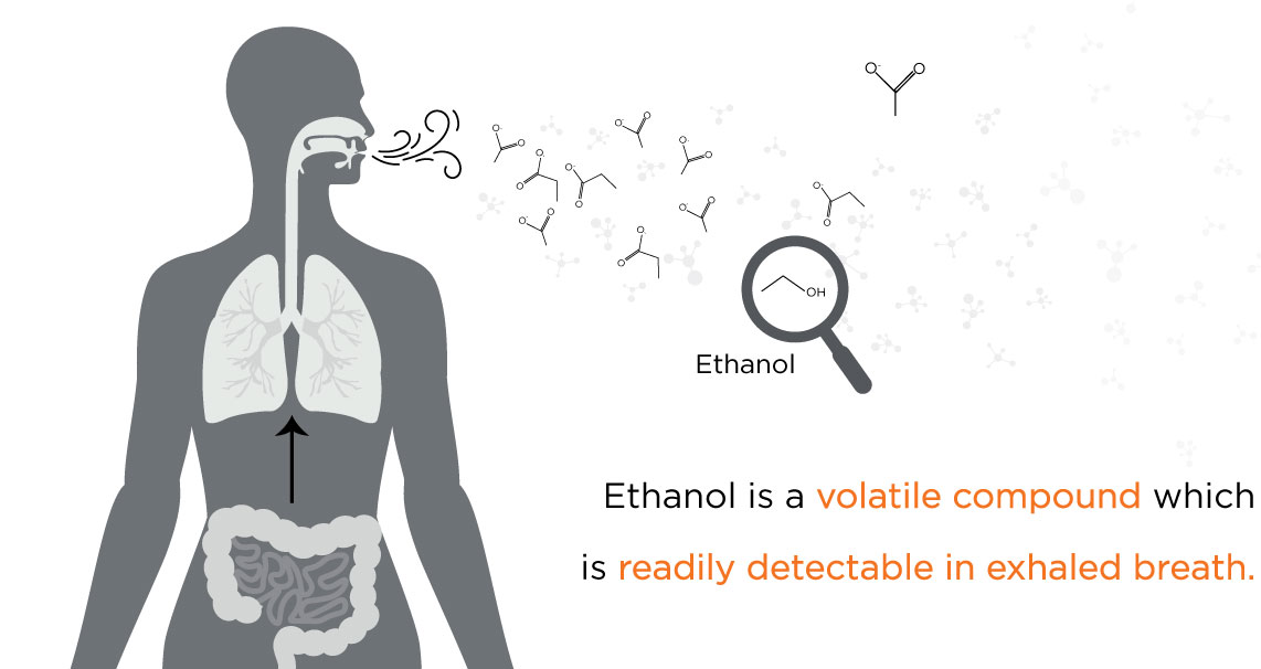 Liver and microbiome blog VOC graphic