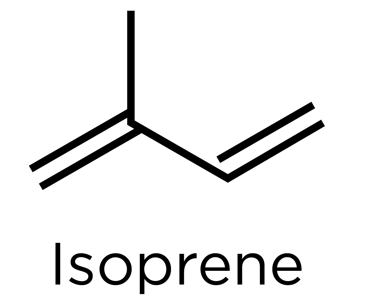 Isoprene skeletal 