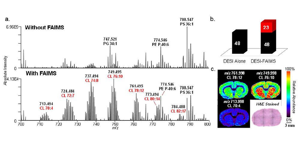 DESI-FAIMS mass spectrometry image of cardiolipin in rat brain tissue