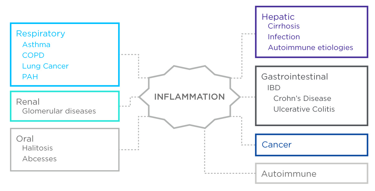 Inflammation breath diseases
