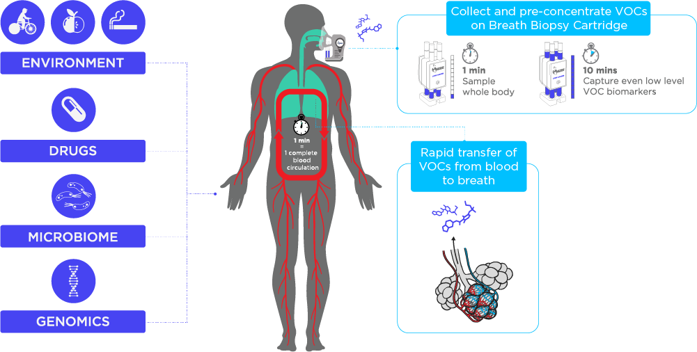 Sources of VOCs