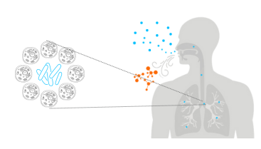 Exploring Tuberculosis Through the Power of Breath Analysis.