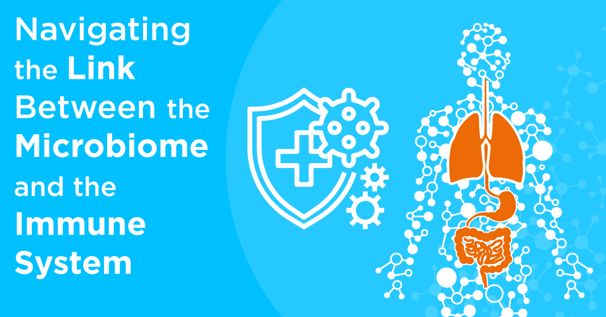 Navigating the Link Between the Microbiome and the Immune System