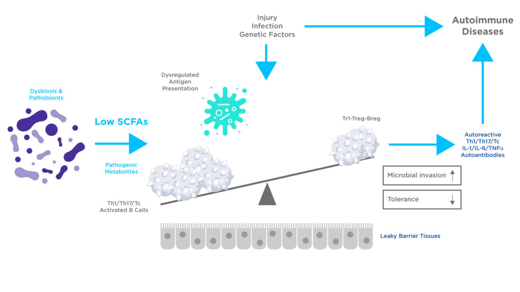 Effect of Low Levels of SCFAs on Immunity