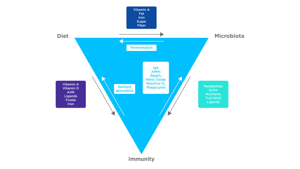 The Gut Microbiome and Immunity