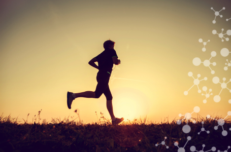 Metabolic insights at the finish line deciphering physiological changes in ultramarathon runners through breath VOC analysis