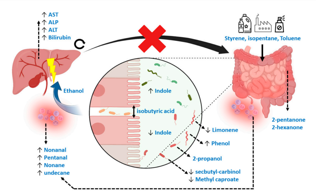 Mechanistic overview of the potential Volatile Metabolic markers in fecal headspace.