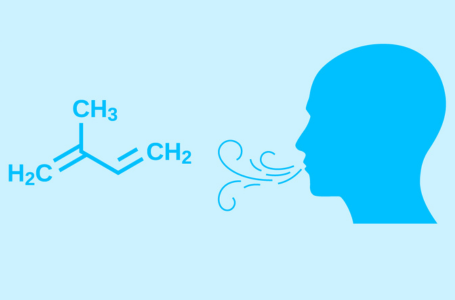 The Origins of Isoprene in Human Breath