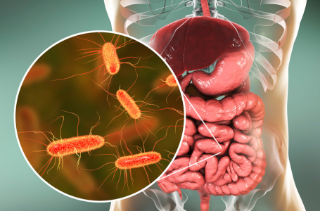 microbiome content pack