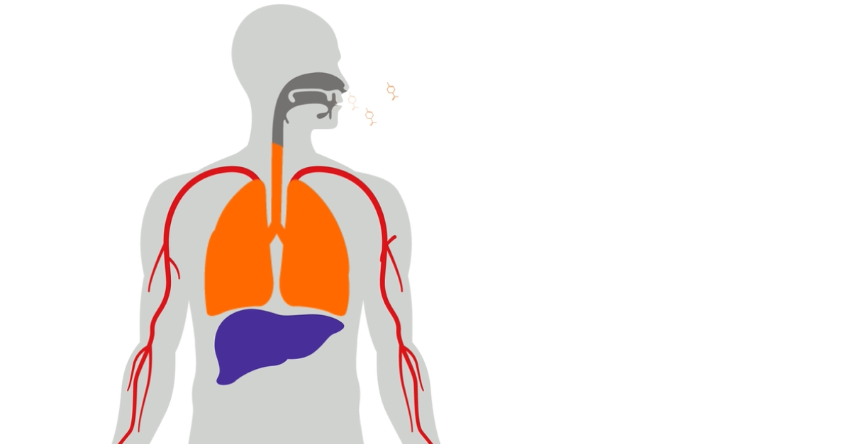 Many VOCs in the breath originate in the liver  due to its role in metabolism. For example, studies have found that patients with liver disease show significantly higher levels of limonene in the breath compared to health cohorts for several hours after that limonene has been ingested. 